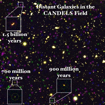 CANDELS galaxies