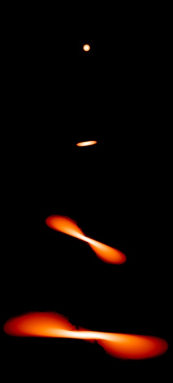 When a star encounters a black hole, tidal forces stretch the star into an elongated blob before tearing it apart, as seen in these images from a computer simulation by James Guillochon of Harvard University. 