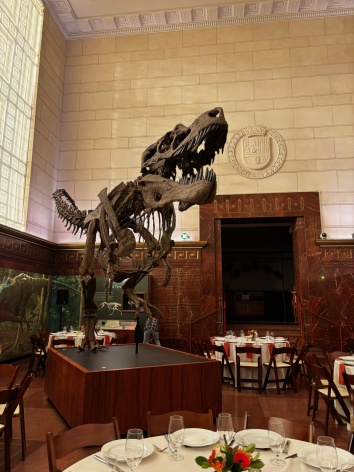 Tables set for dinner in a museum room with a T-Rex skeleton.