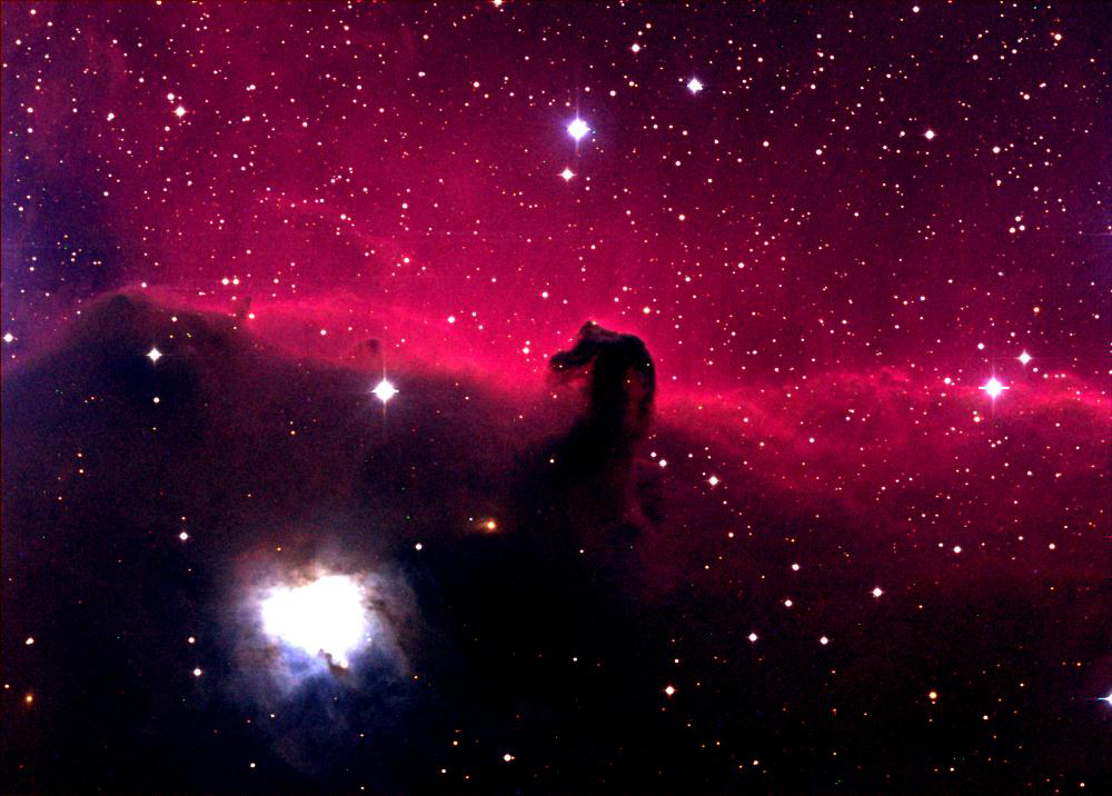 astronomy horse head