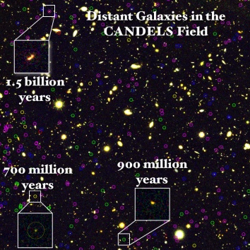 CANDELS galaxies