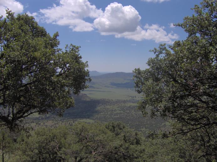 McDonald Observatory vista